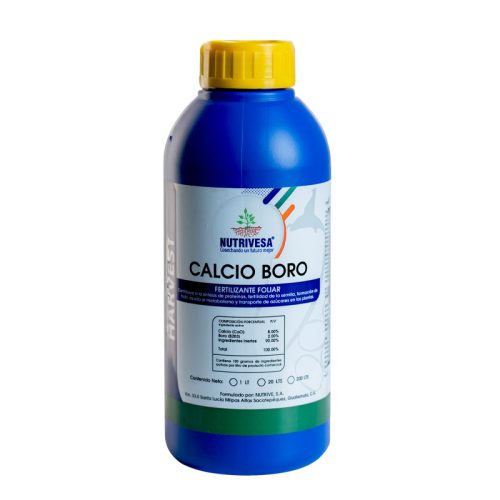 CALCIO BORO
